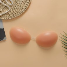 画像1: シリコンブラ中国工場 (1)